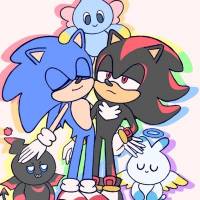 The hedgehogs ShadowXSonic Lovers