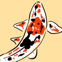 Koi Fish